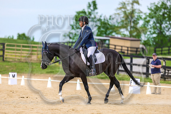 SASS-2961