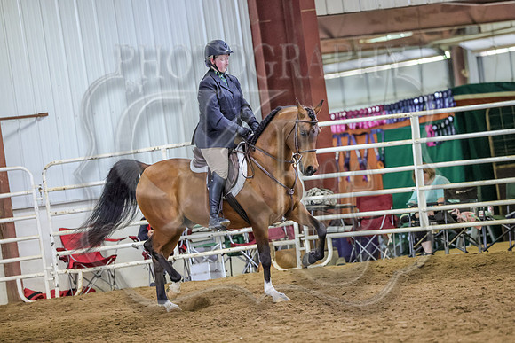 SASS-4594