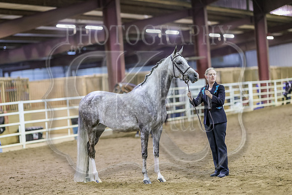 SASS-6194