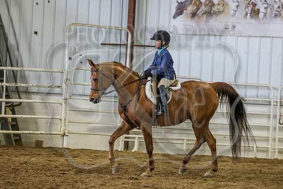 SASS-4964