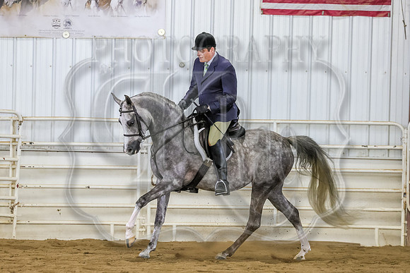 SASS-3561