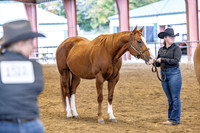 OSB_FallShow-2268