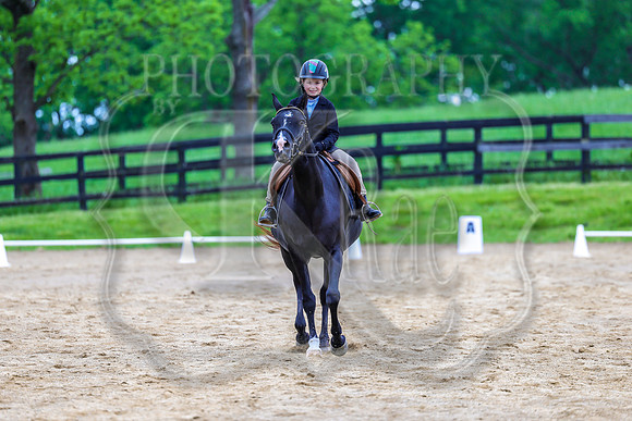 SASS-4366