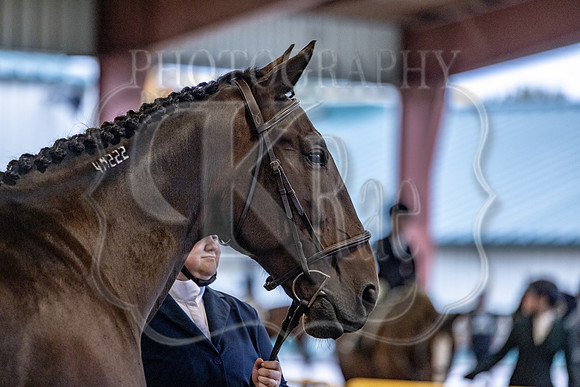 OSB_FallShow-0216