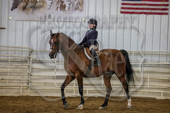 SASS-3978