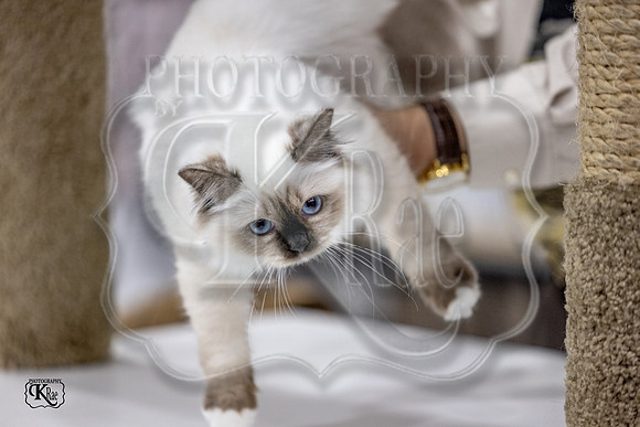 CFA_WLMGTN-0164