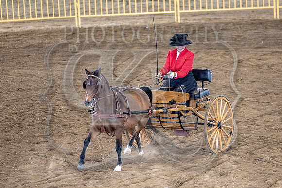 OSB_FallShow-0653