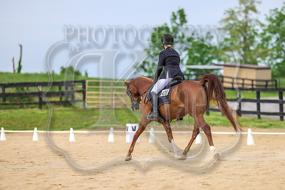 SASS-2212