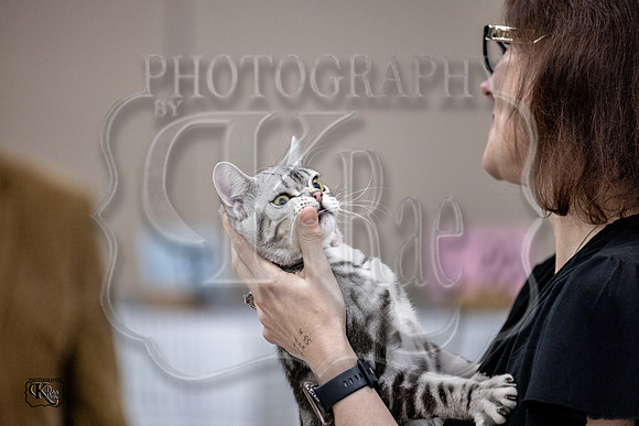 CFA_WLMGTN-0299