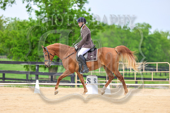 SASS-2464