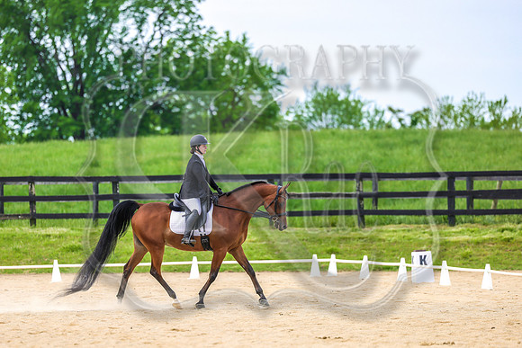 SASS-3569