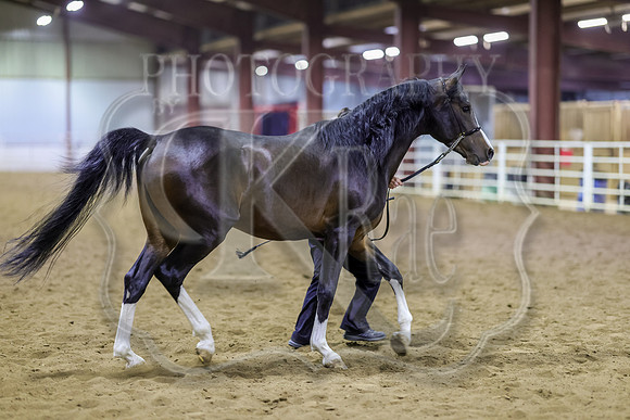 SASS-6870