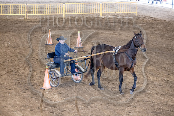 OSB_FallShow-0567