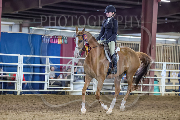 SASS-8454