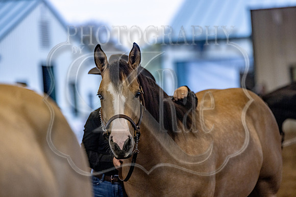 OSB_FallShow-0114