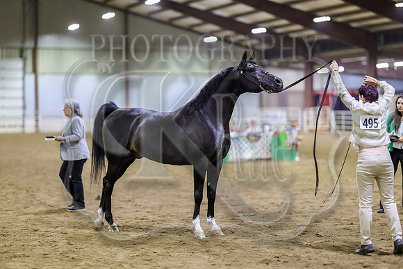 SASS-7058
