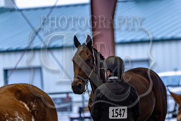 OSB_FallShow-0108