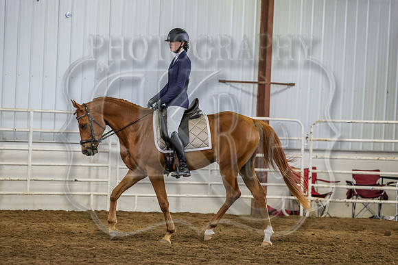 SASS-3817