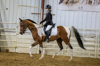 SASS-8377