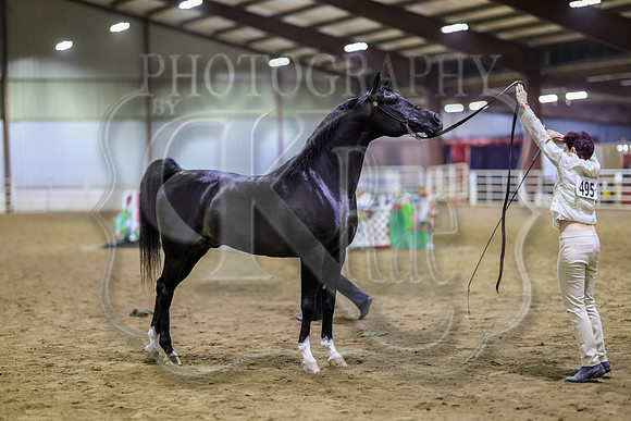 SASS-7062