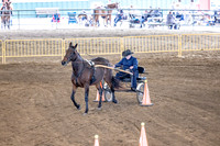 OSB_FallShow-0579