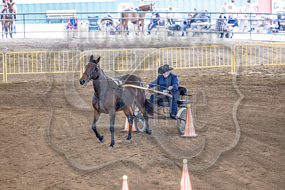 OSB_FallShow-0579