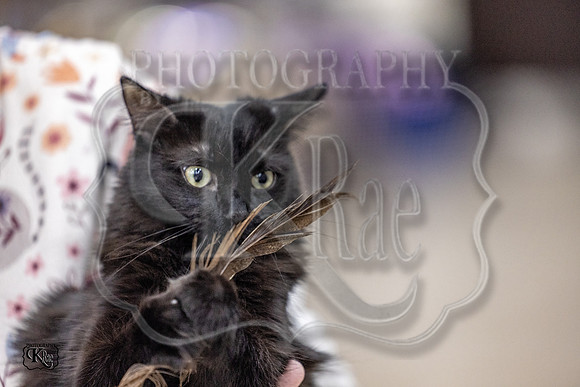 CFA_WLMGTN-0098