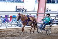 OSB_FallShow-0110