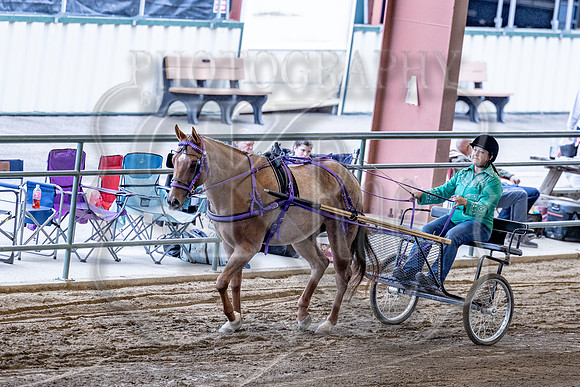 OSB_FallShow-0110