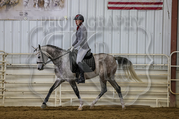 SASS-5293
