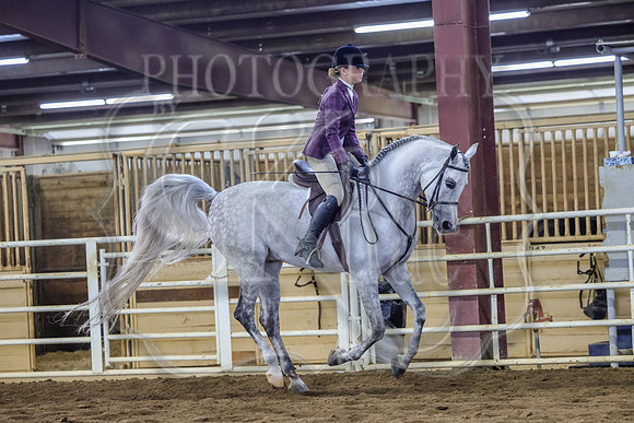 SASS-3199