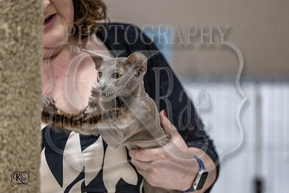 CFA_WLMGTN-0022