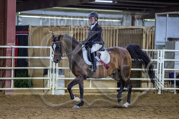 SASS-5949