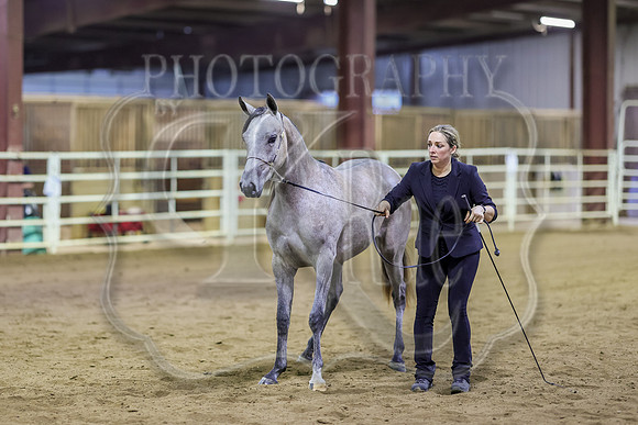 SASS-5736