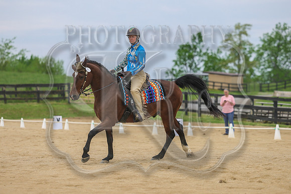 SASS-0934