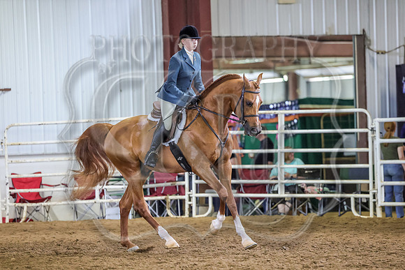 SASS-3551