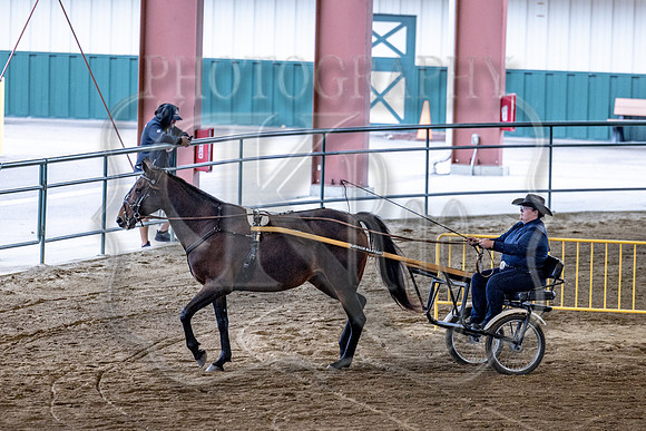 OSB_FallShow-0359
