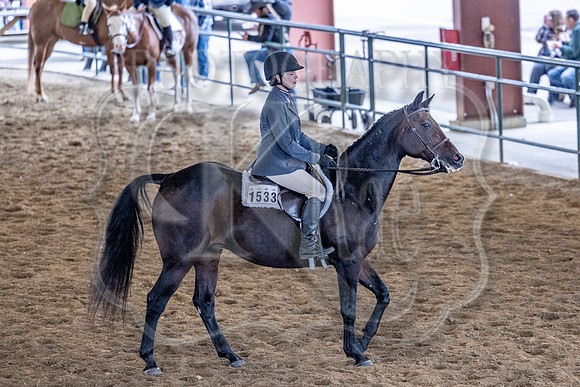 OSB_FallShow-1672