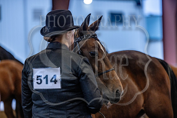 OSB_FallShow-0111