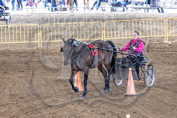 OSB_FallShow-0723