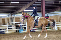 SASS-8462