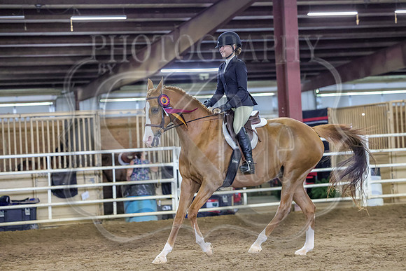 SASS-8462
