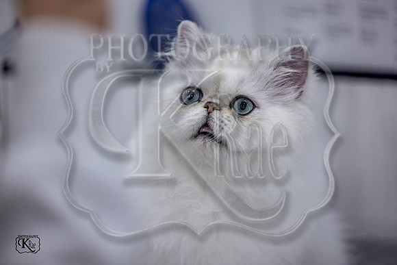 CFA_WLMGTN-0068