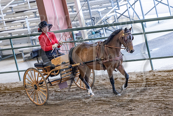 OSB_FallShow-0274
