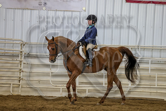 SASS-3972
