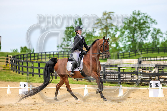 SASS-3628
