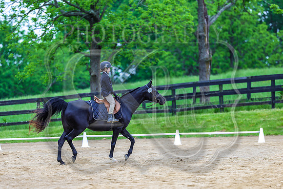 SASS-4420