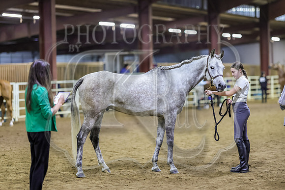 SASS-6528