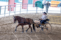 OSB_FallShow-0802
