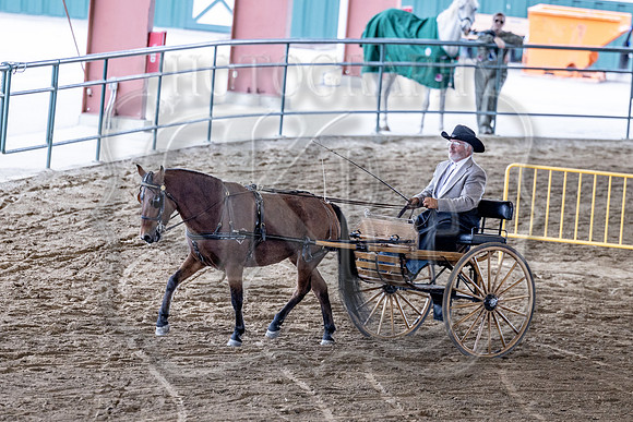 OSB_FallShow-0802
